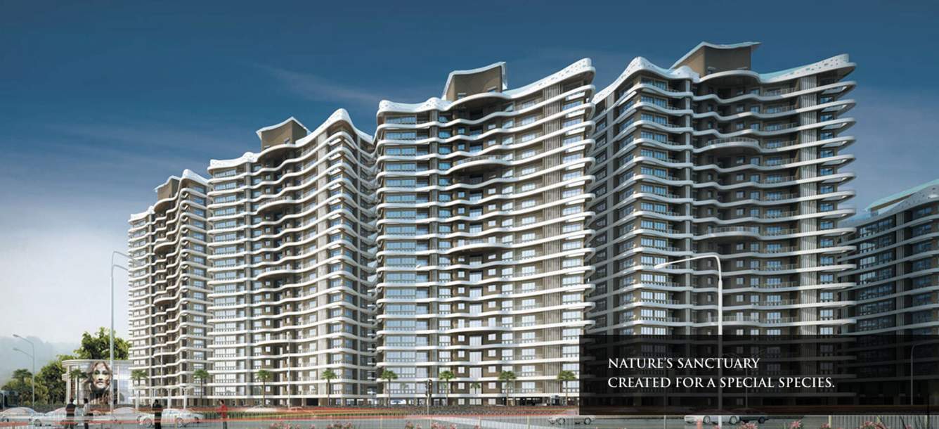  the rain forest Images for Elevation of Mounthill The Rain Forest