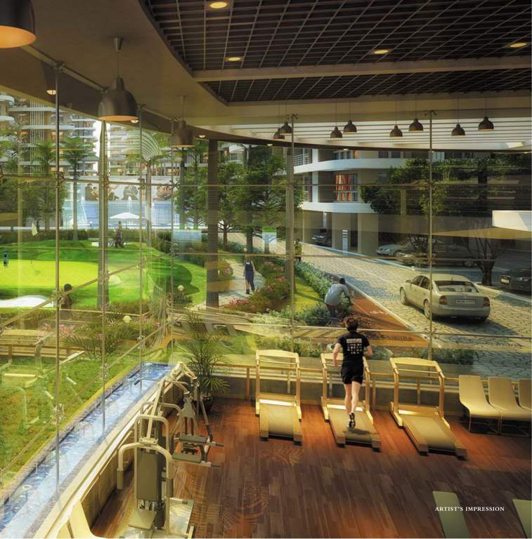  the rain forest Images for Amenities of Mounthill The Rain Forest