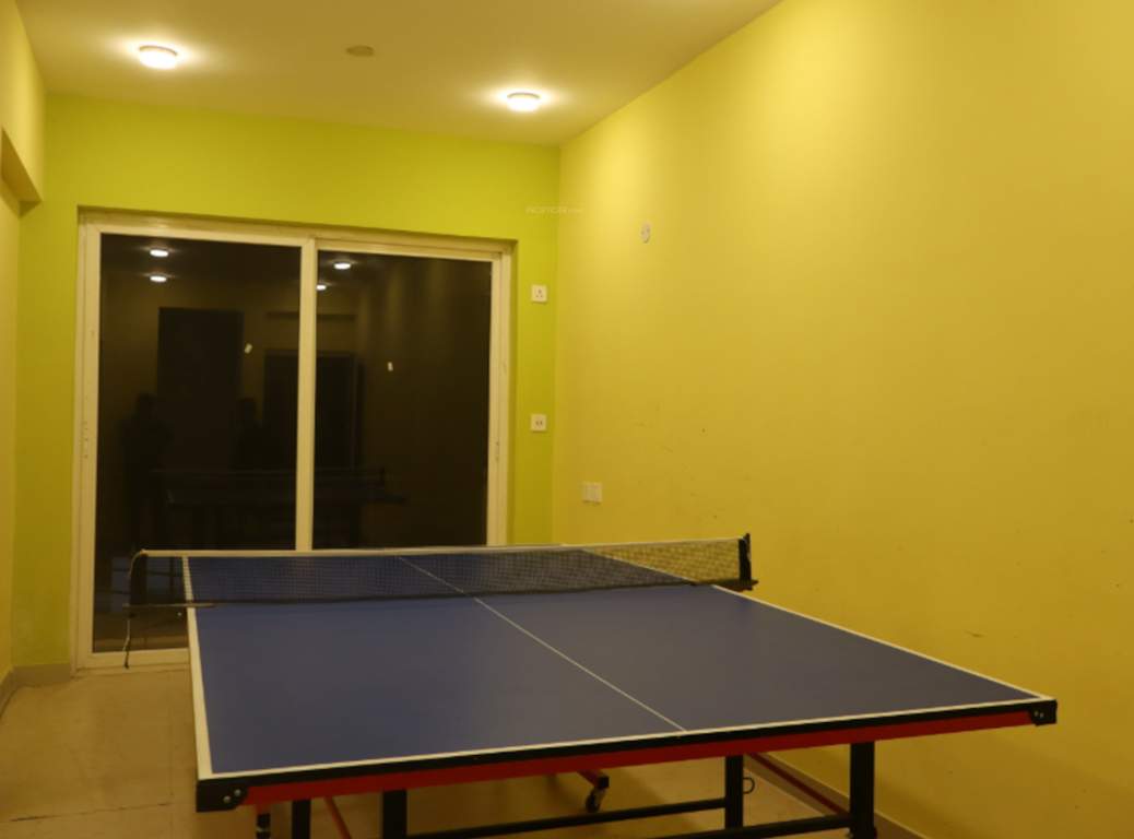  mounthill north grande Table Tennis