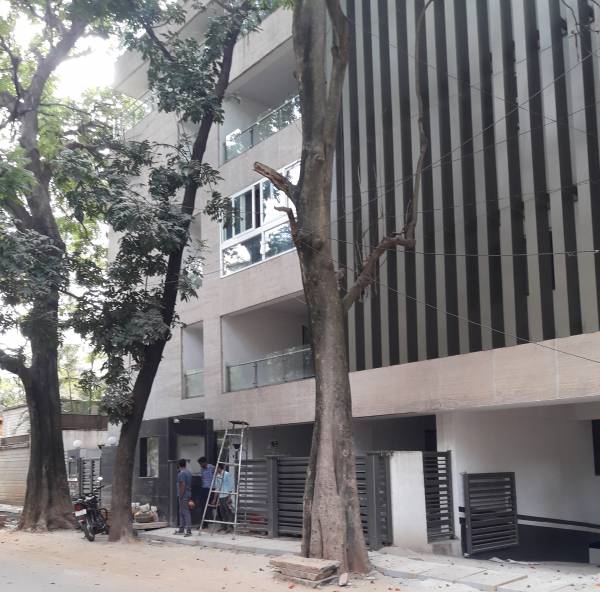  amora Images for Project