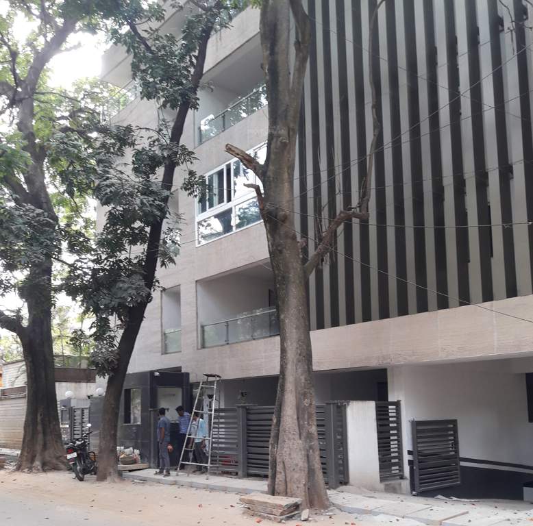  amora Images for Project