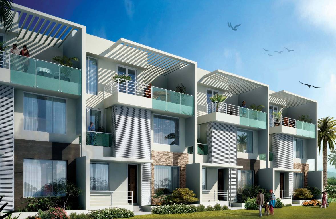 Images for Elevation of Axr Zeus