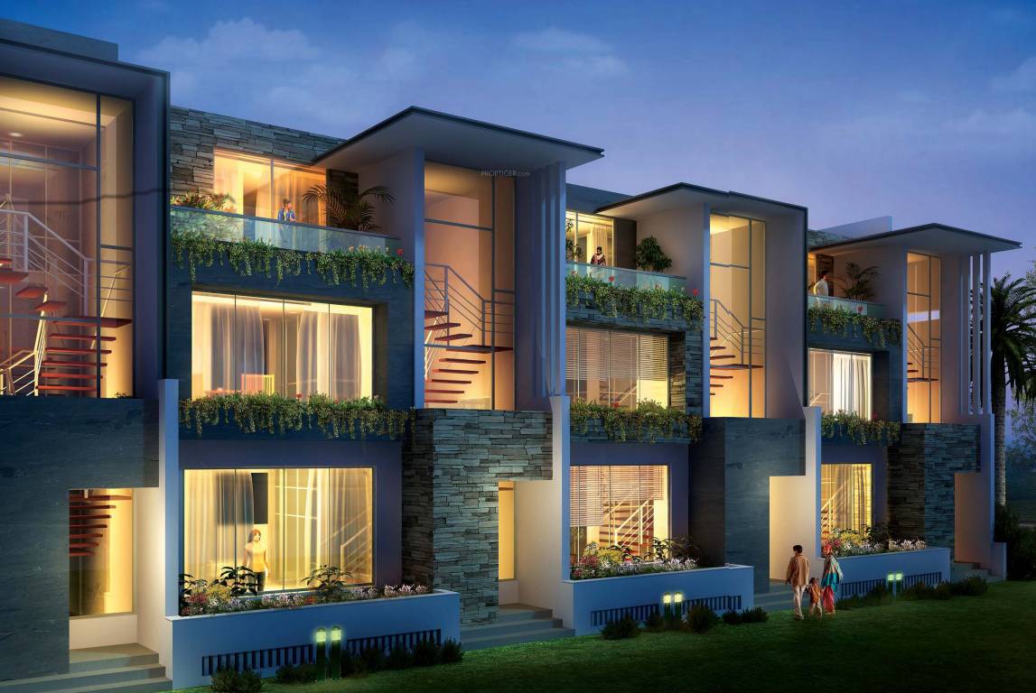 Images for Elevation of Axr Zeus