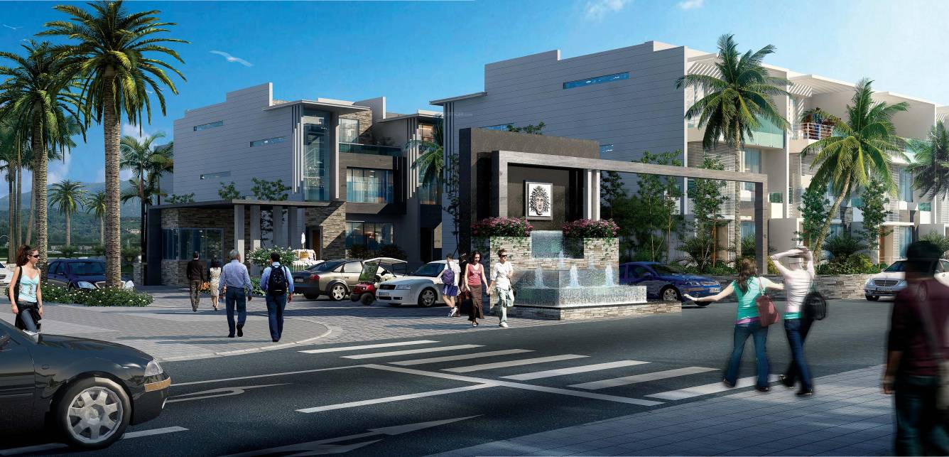 Images for Elevation of Axr Zeus