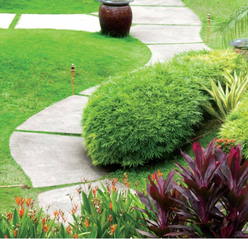 Images for Amenities of Axr Zeus