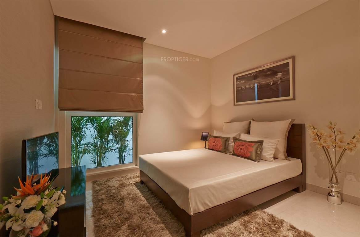  cosmopolis Images for Main Other of Brigade Cosmopolis