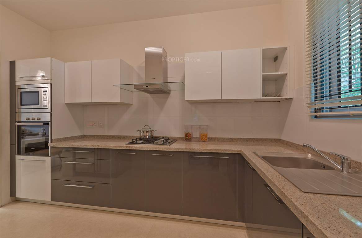  cosmopolis Images for Main Other of Brigade Cosmopolis