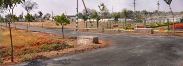 Internal Roads habitat Internal Roads