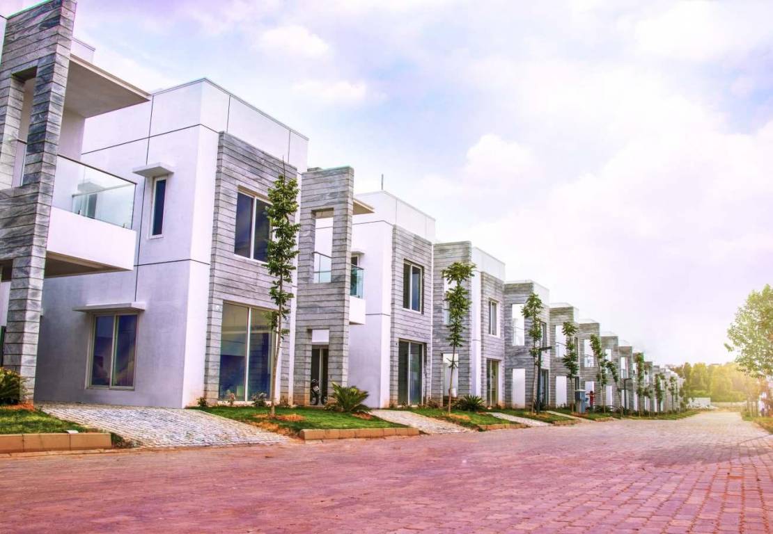 Images for Elevation of Bluejay Nine Forum