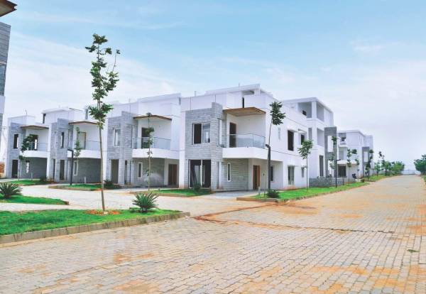 Images for Elevation of Bluejay Nine Forum