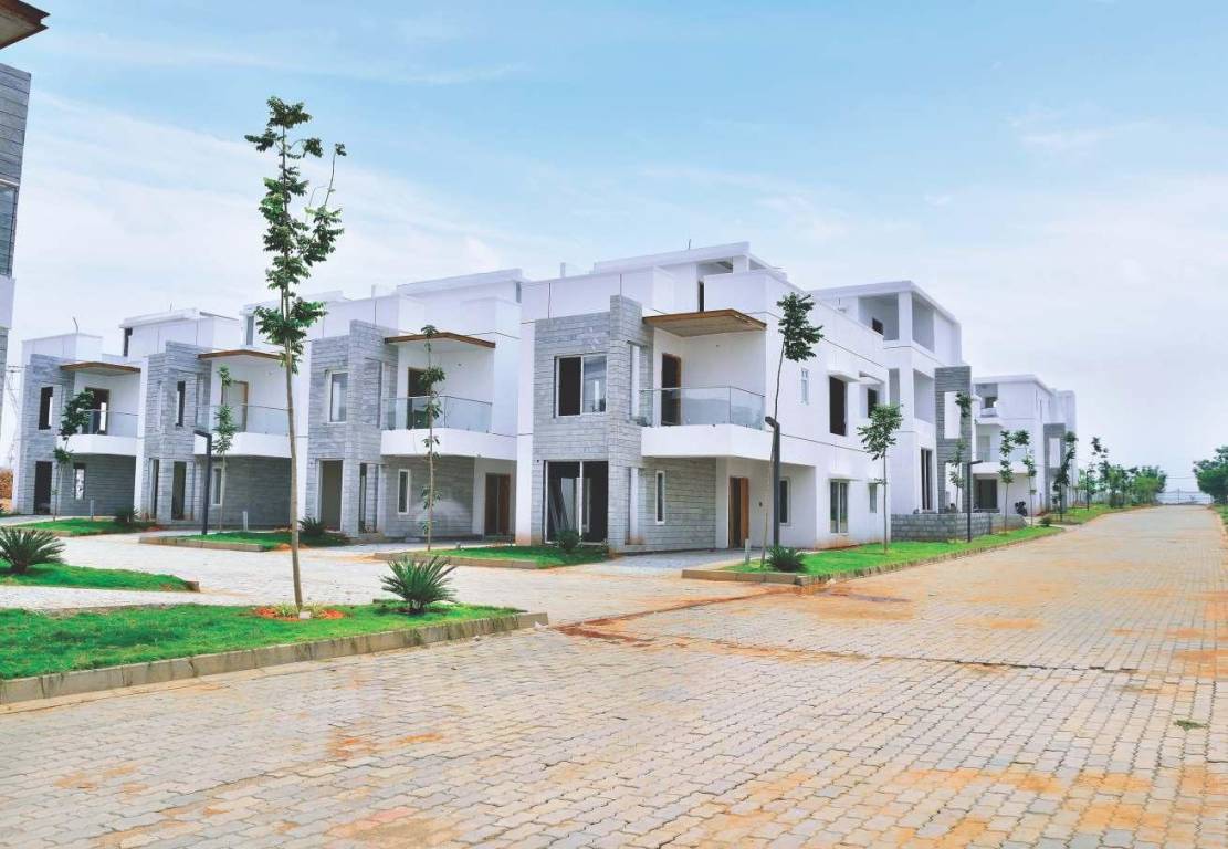 Images for Elevation of Bluejay Nine Forum