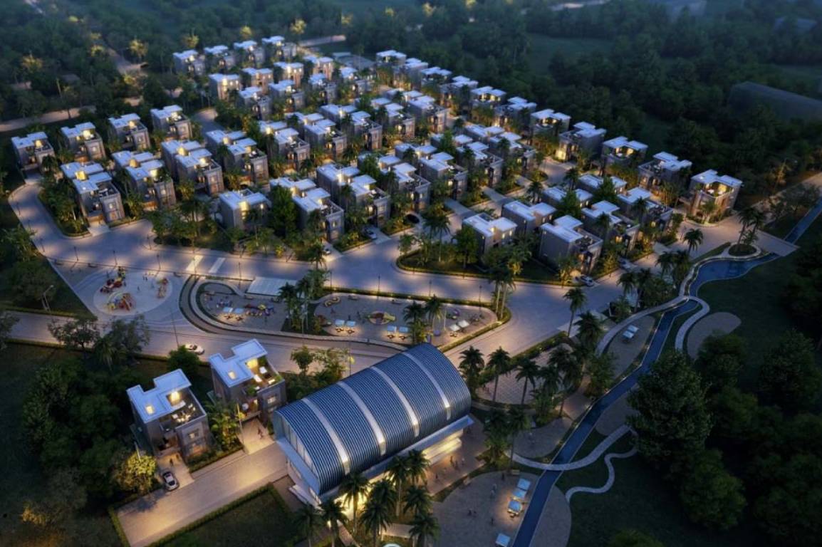 Images for Elevation of Bluejay Nine Forum