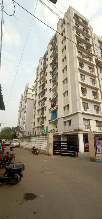  active greens Elevation