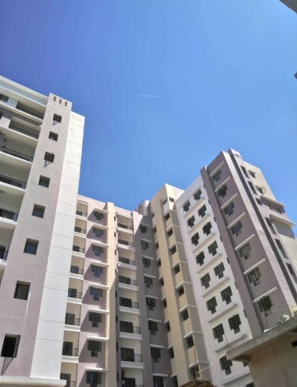  active greens Elevation