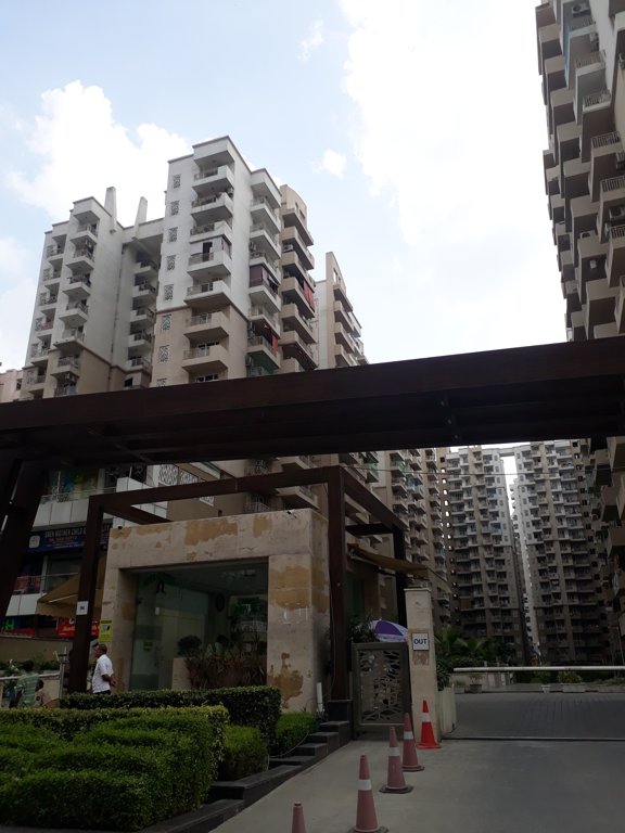 elite homz Images for Project