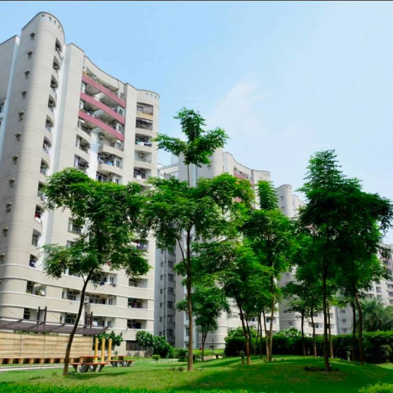 olive county Images for Project