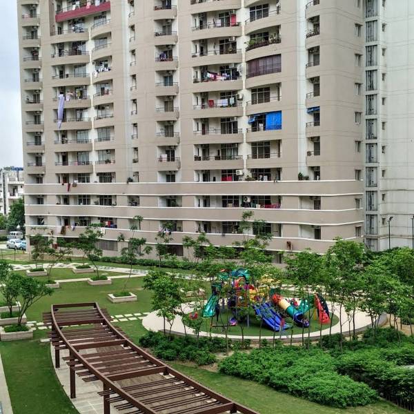  olive-county Images for Project