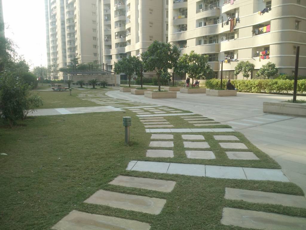 olive county Jogging Track