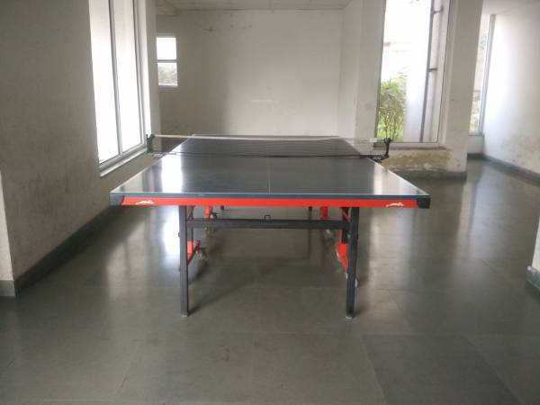  olive-county Table Tennis