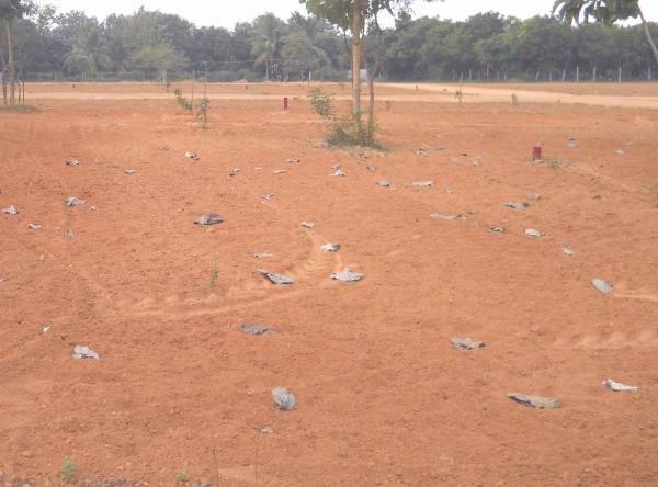 Images for Amenities of Swathi Lands Swathi Nagar Phase IV