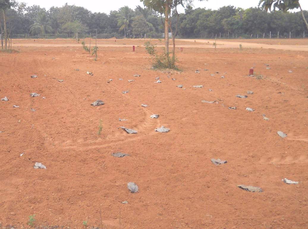 Images for Amenities of Swathi Lands Swathi Nagar Phase IV