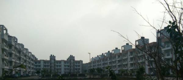  divine-court Elevation