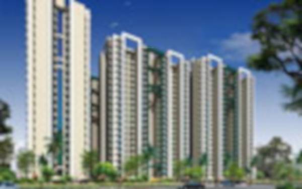  divine-court Elevation