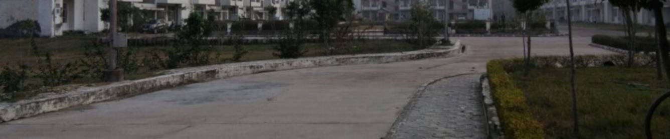 divine court Internal Roads