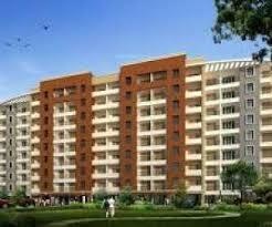 lemon-grove Elevation Elevation