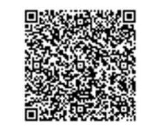 QR Image