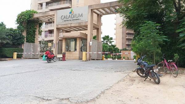  caladium Entrance Gate Security Cabin