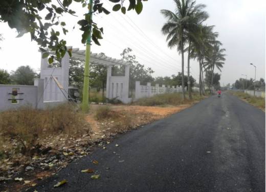 park-dale Elevation Elevation