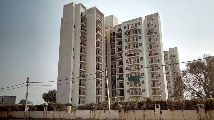  summer palms Elevation