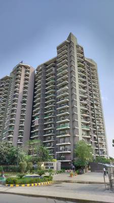 time-residency Elevation Elevation