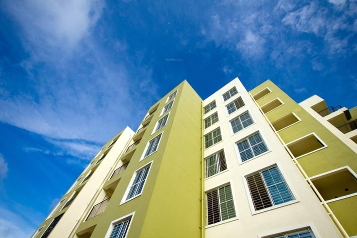  aura Images for Elevation of CoEvolve Aura