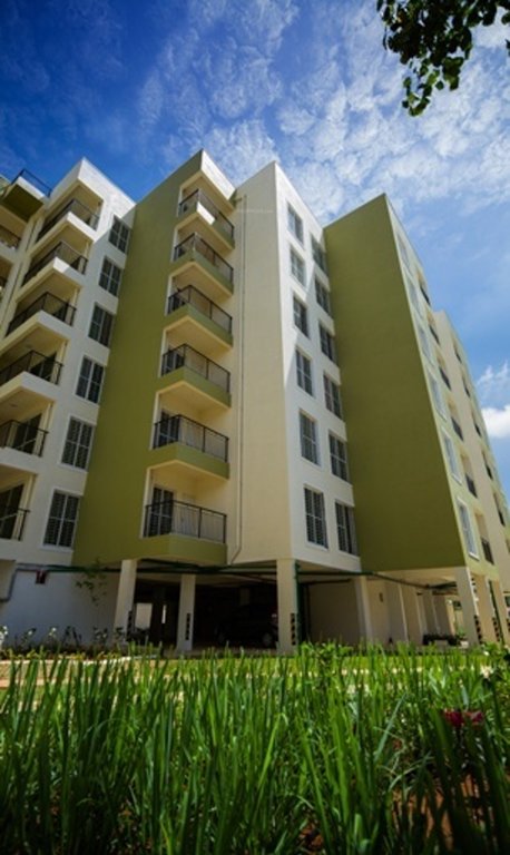  aura Images for Elevation of CoEvolve Aura