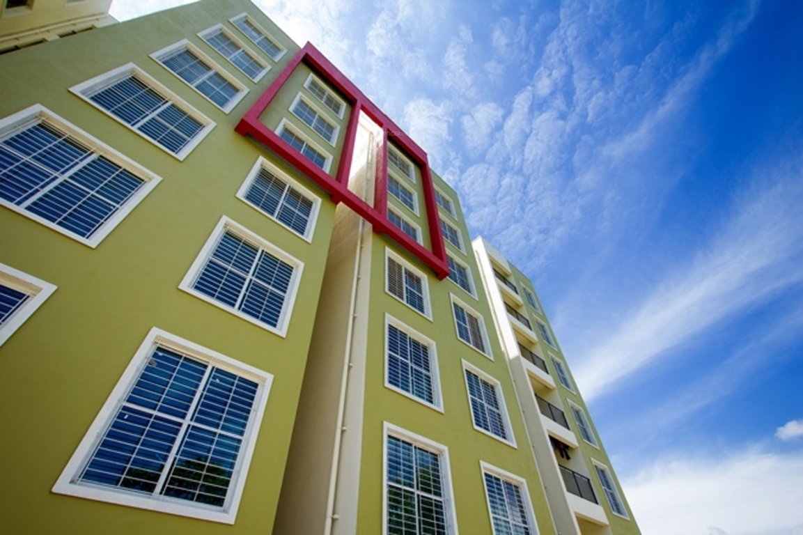  aura Images for Elevation of CoEvolve Aura