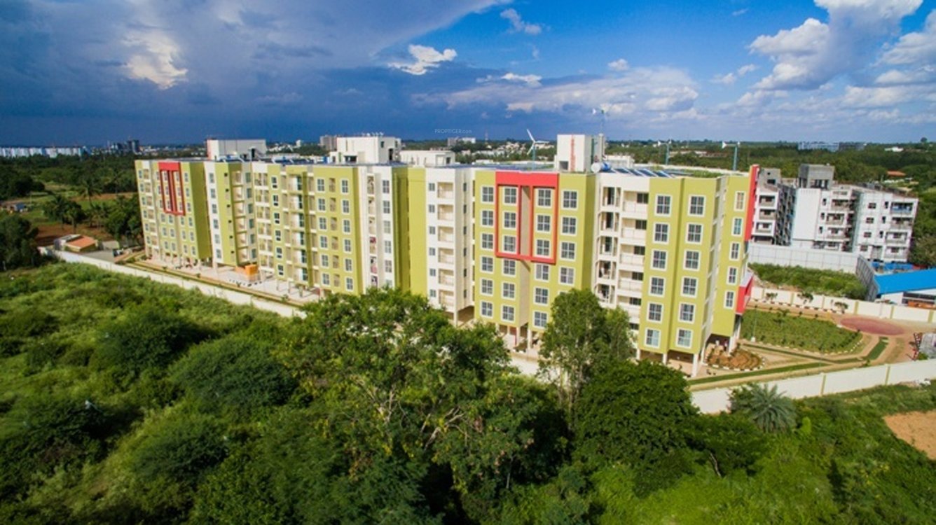  aura Images for Elevation of CoEvolve Aura