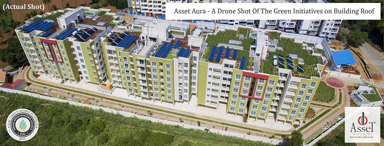  aura Images for Elevation of CoEvolve Aura