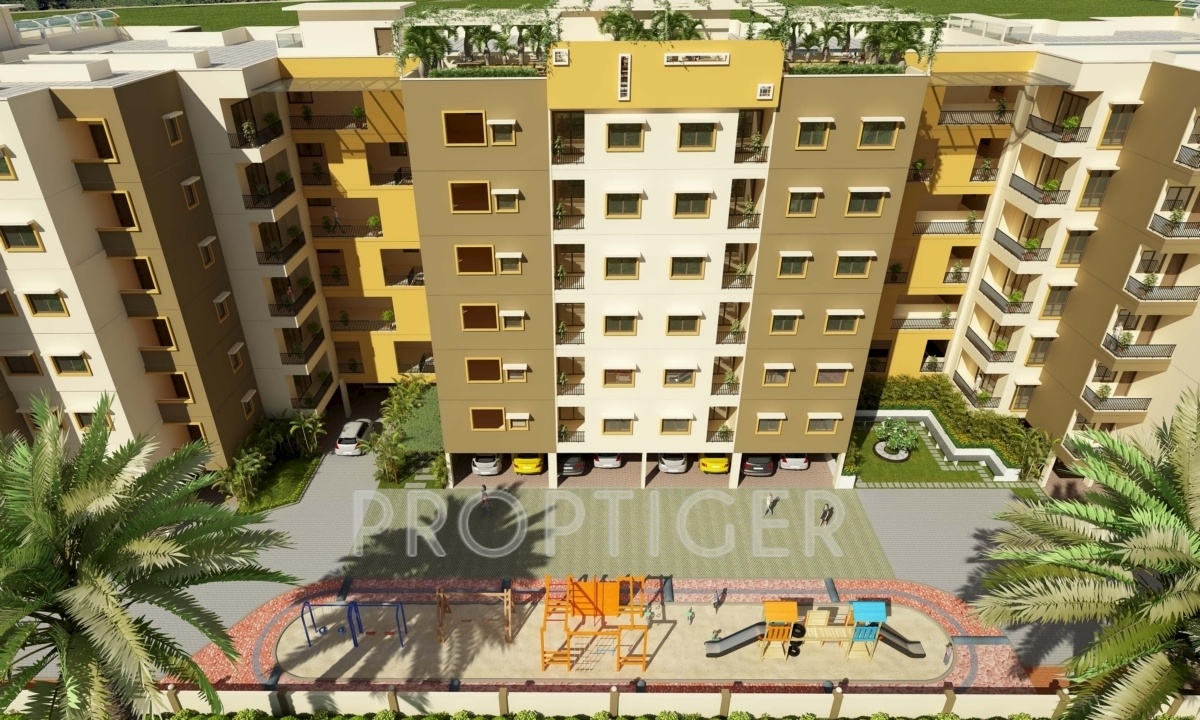  aura Images for Elevation of CoEvolve Aura