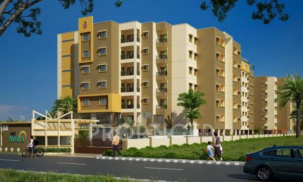 Images for Elevation of CoEvolve Aura aura Images for Elevation of CoEvolve Aura