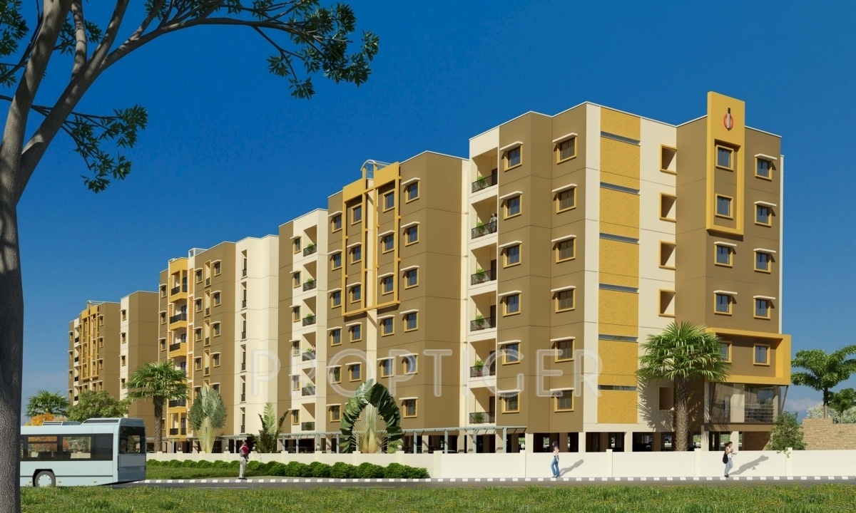  aura Images for Elevation of CoEvolve Aura