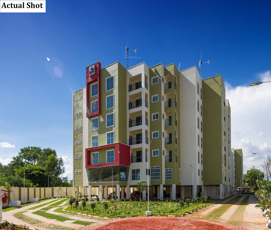  aura Images for Elevation of CoEvolve Aura