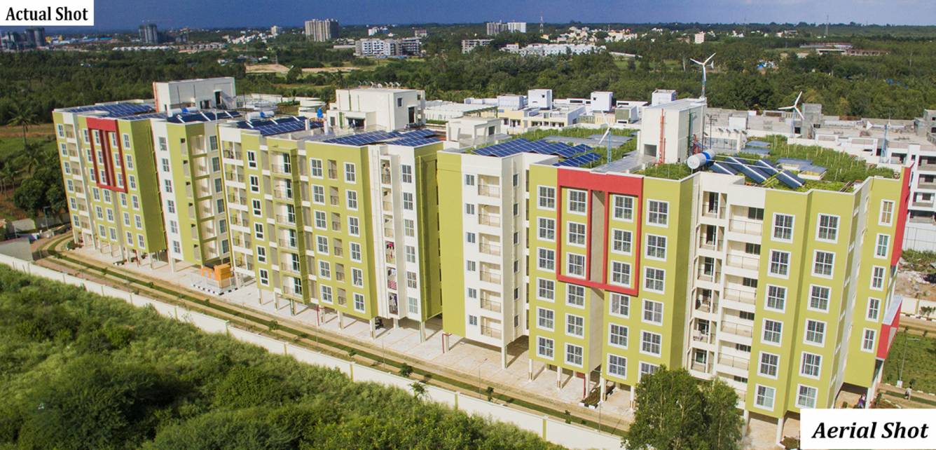  aura Images for Elevation of CoEvolve Aura