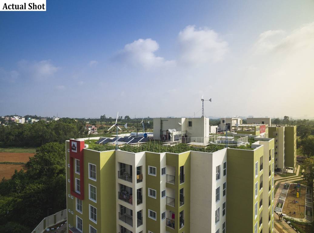  aura Images for Elevation of CoEvolve Aura