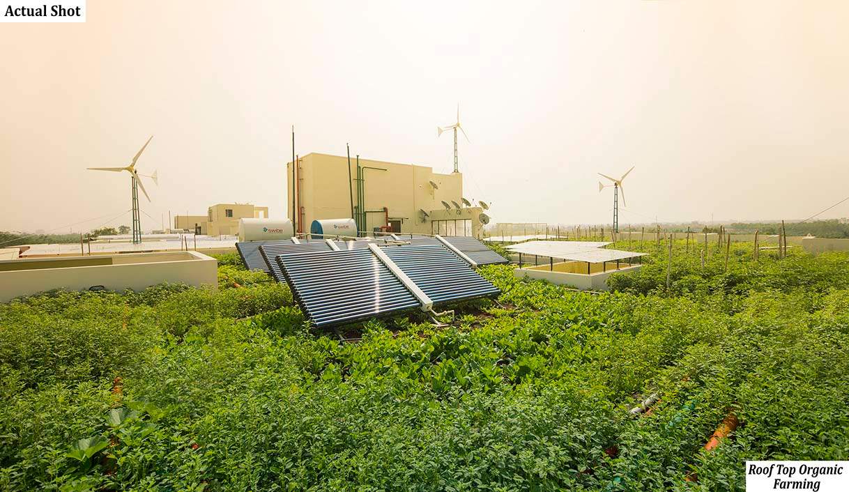  aura Images for Amenities of CoEvolve Aura