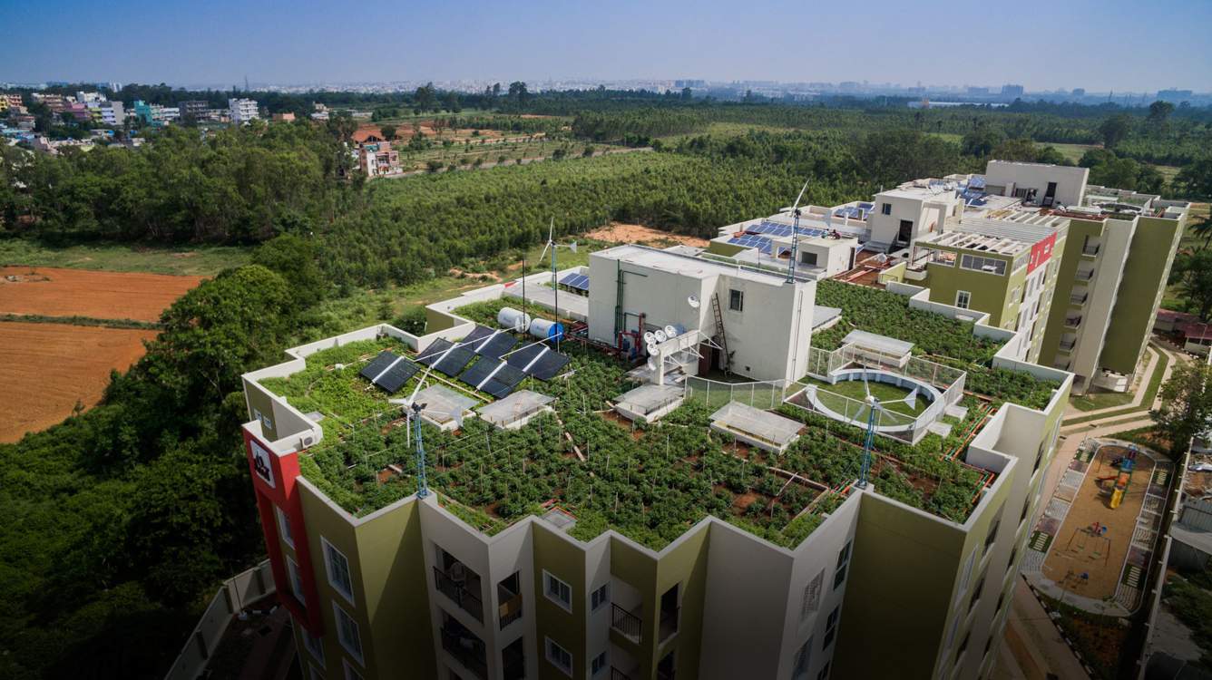  aura Images for Main Other of CoEvolve Aura