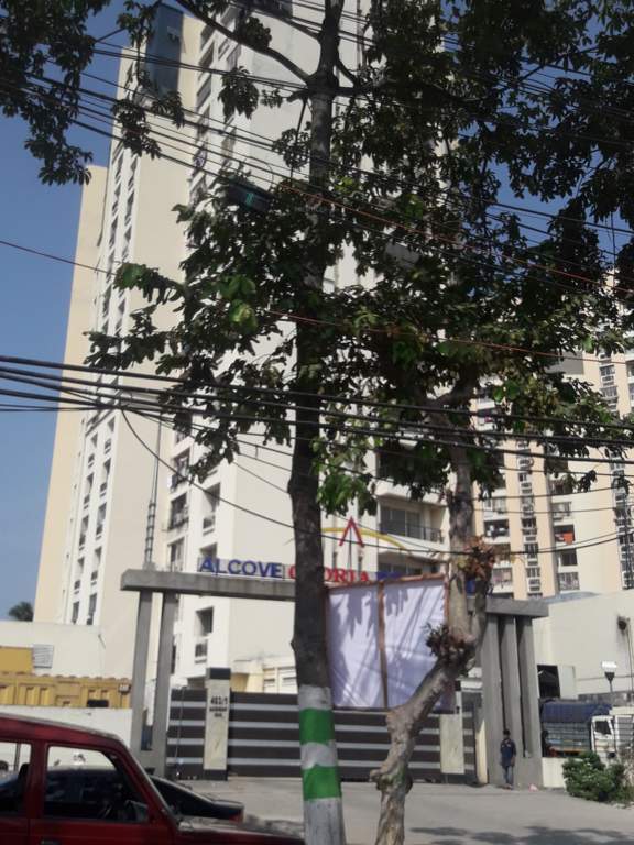  gloria Images for Project