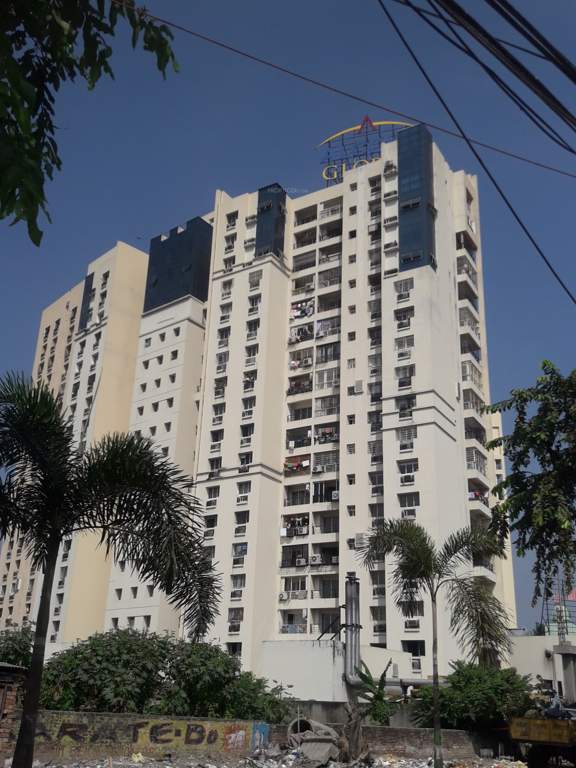  gloria Images for Project