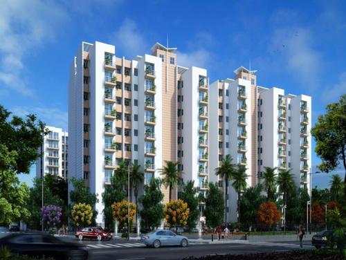  flora Images for Elevation of Genesis Flora